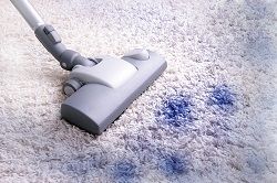 Carpet Cleaning Bayswater