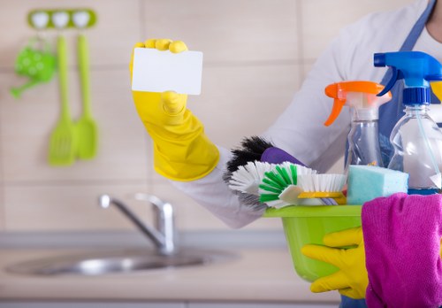 Bayswater Cleaners professional cleaning introduction