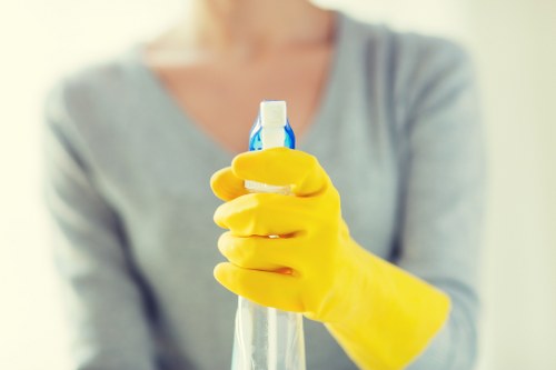 Professional Bayswater cleaners working in a modern space
