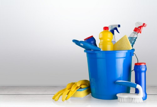Professional carpets cleaner in Bayswater deep cleaning a home carpet
