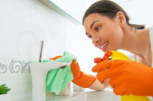 Professional cleaners in Bayswater providing domestic cleaning services