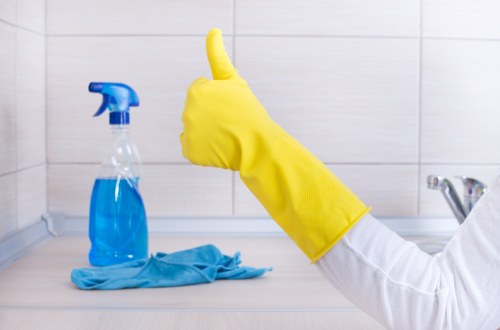 Professional carpet cleaner working on a home carpet in Bayswater