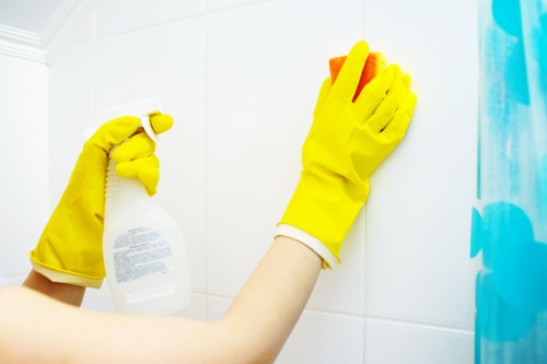 Kitchen and bathroom cleaning as part of domestic cleaning in Bayswater
