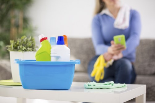 Low-carbon van used for eco-friendly cleaning transport