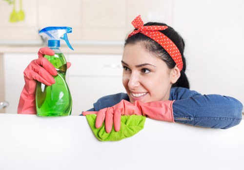 Review stage for a cleaning complaint with documentation and assessment