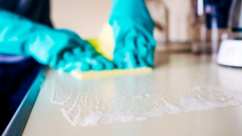 Eco-friendly oven cleaning in Bayswater for a fresh and hygienic home