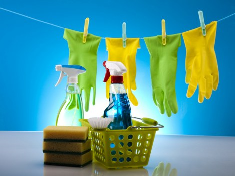 Free quote policy for Bayswater cleaning services