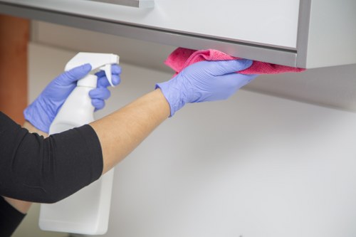 Stain removal and carpet maintenance service in Bayswater