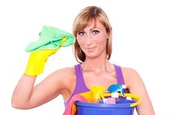 W2 Domestic Cleaners