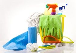 Bayswater Cleaning Companies W2